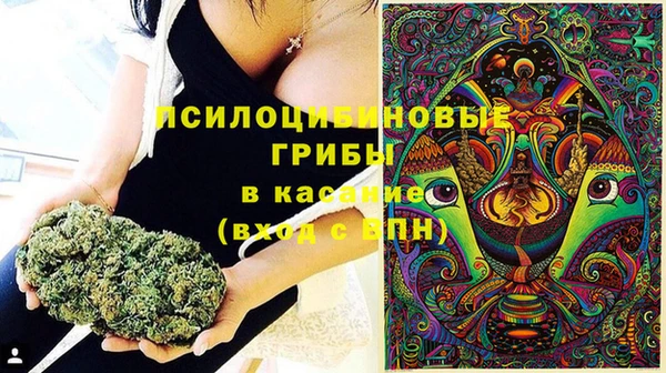2c-b Алзамай
