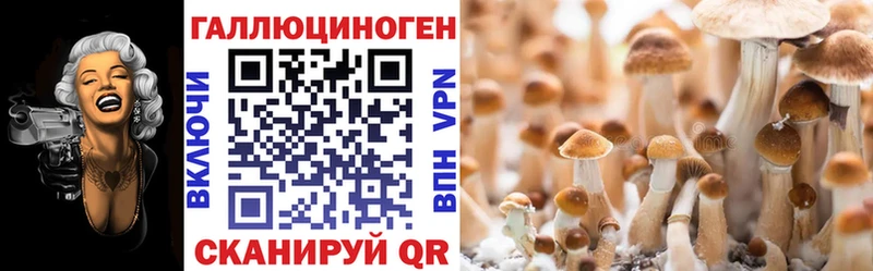 закладки  Пенза  Галлюциногенные грибы Cubensis 